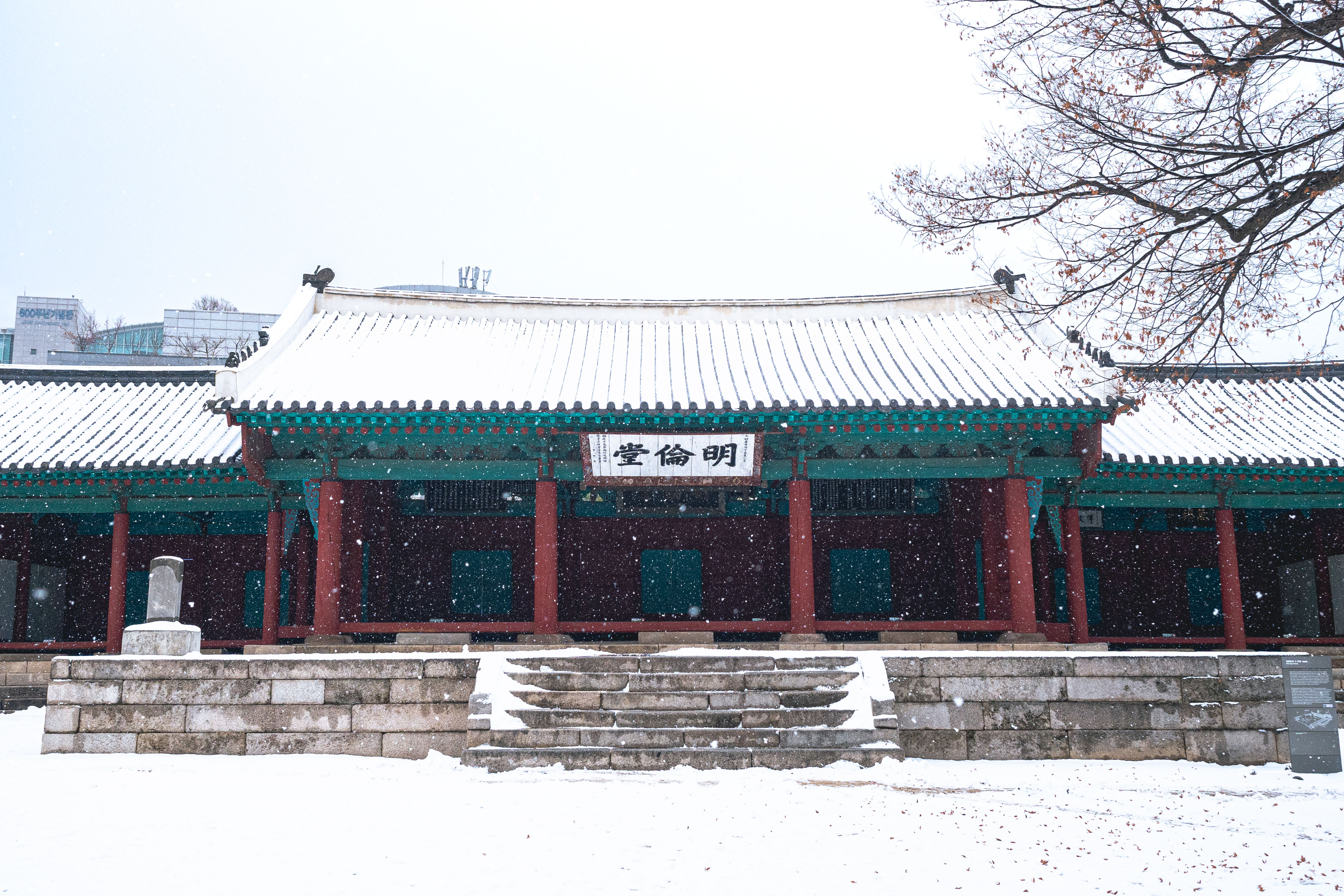 The Snowy Myeongnyundang