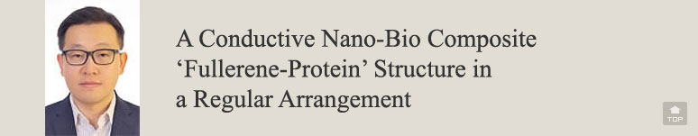 A Conductive Nano-Bio Composite 'Fullerene-Protein' Structure in a Regular Arrangement