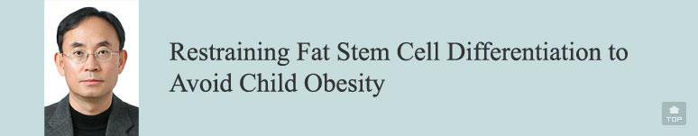Restraining Fat Stem Cell Differentiation to Avoid Child Obesity
