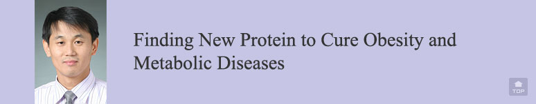 Finding New Protein to Cure Obesity and Metabolic Diseases