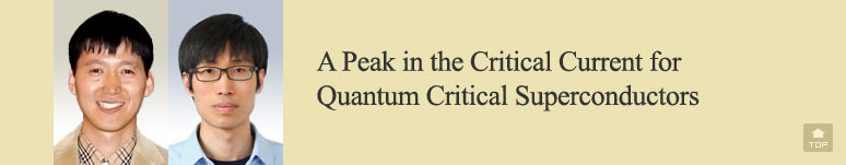 A Peak in the Critical Current for Quantum Critical Superconductors