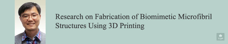Research on Fabrication of Biomimetic Microfibril Structures Using 3D Printing
