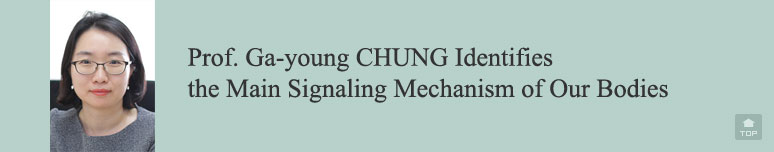 Prof. Ga-young CHUNG Identifies the Main Signaling Mechanism of Our Bodies