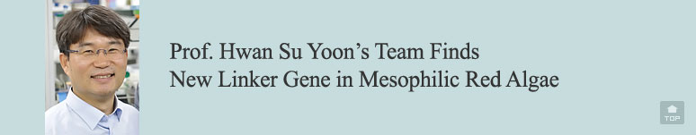 Prof. Hwan Su Yoon's Team Finds New Linker Gene in Mesophilic Red Algae