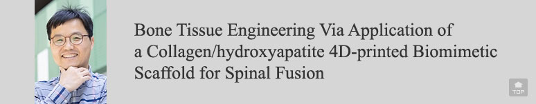 Bone Tissue Engineering Via Application of a Collagen/hydroxyapatite 4D-printed Biomimetic Scaffold for Spinal Fusion